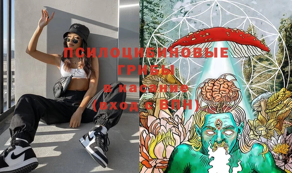 хмурый Белоозёрский