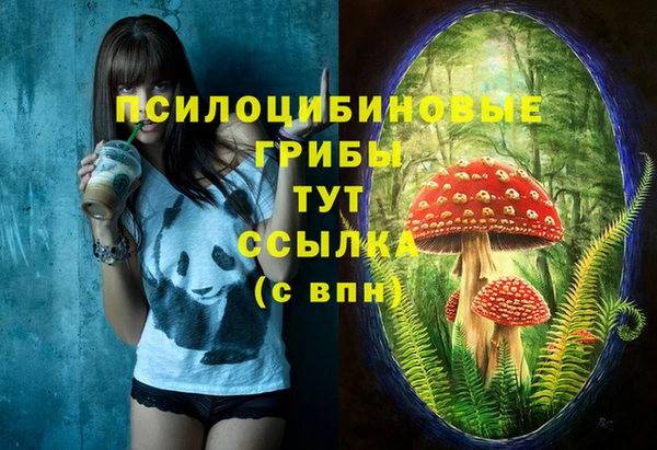 jwh Беломорск