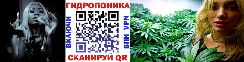 Бошки марихуана планчик  Шали 